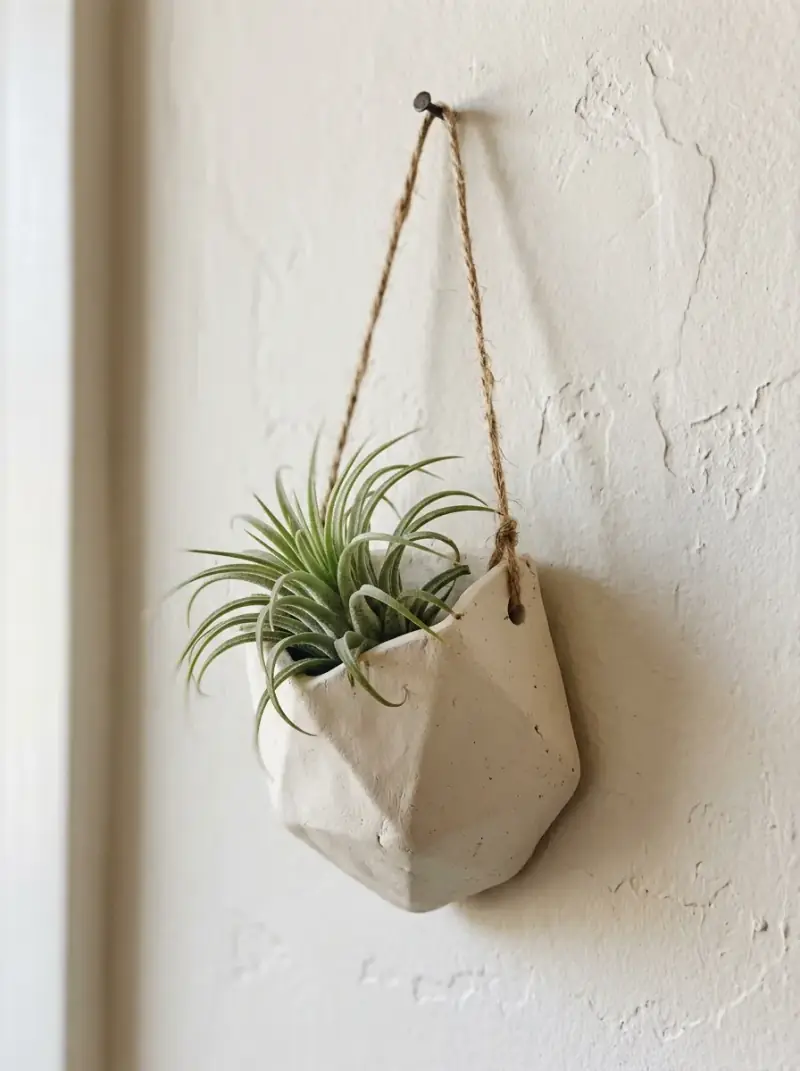 Hanging Air Plant Holder